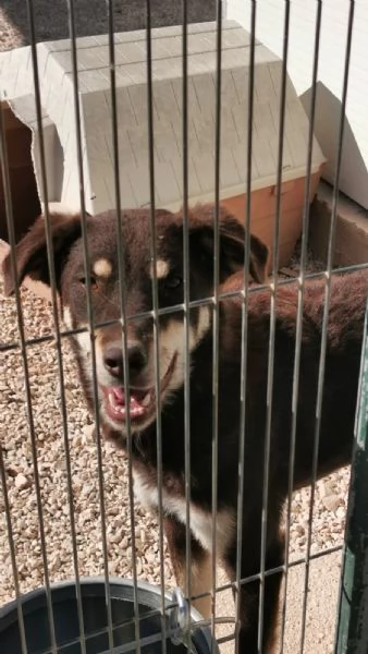 TRE ANNI DIETRO LE SBARRE… PUOI CAMBIARE IL MIO DESTINO?