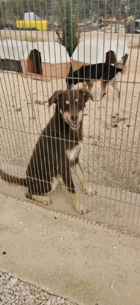 TRE ANNI DIETRO LE SBARRE… PUOI CAMBIARE IL MIO DESTINO? | Foto 1