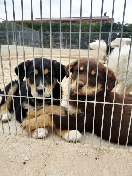 TRE ANNI DIETRO LE SBARRE… PUOI CAMBIARE IL MIO DESTINO? | Foto 0