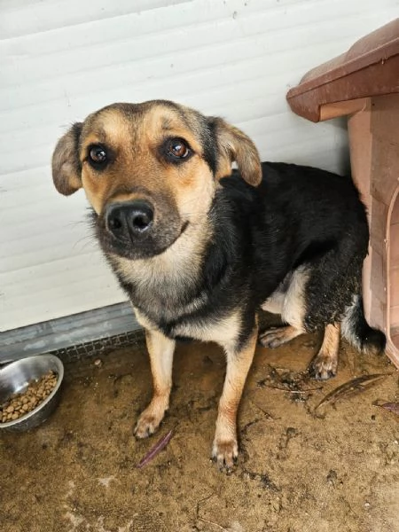 Andrea Splendido Giovane Simil Pastorino Cerca Casa | Foto 4