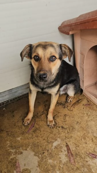 Andrea Splendido Giovane Simil Pastorino Cerca Casa