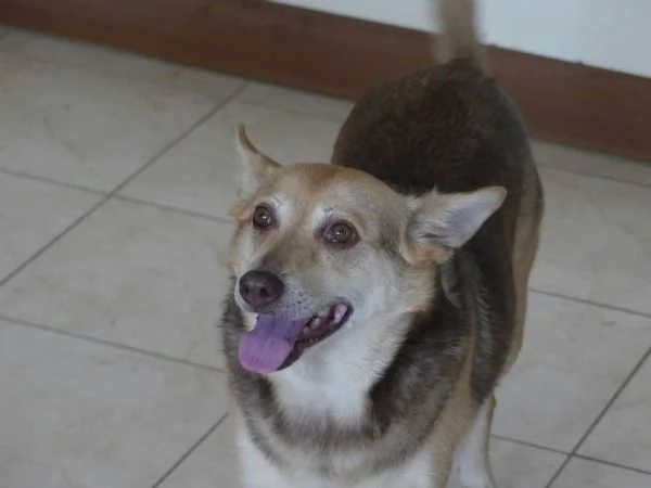 Gelbie tenera nonnina cerca casa  | Foto 5