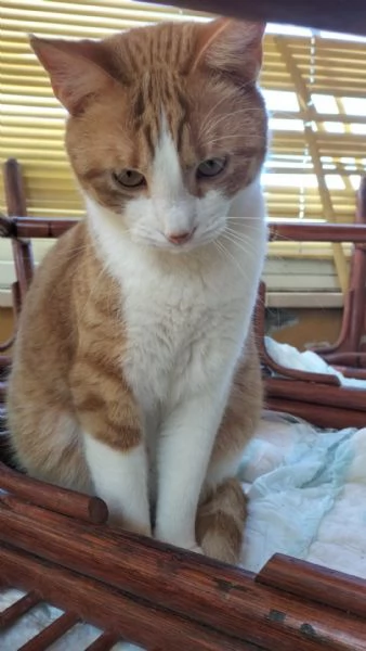 Garfield & Greta   | Foto 3