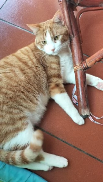 Garfield & Greta   | Foto 1