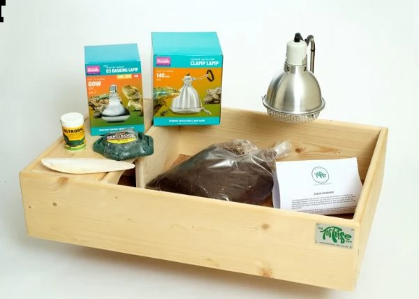  tartarughe di terra horsefield e hermanni | Foto 2