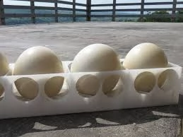 pulcini di struzzo, uova | Foto 1