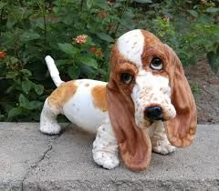 cuccioli basse hound registrati 