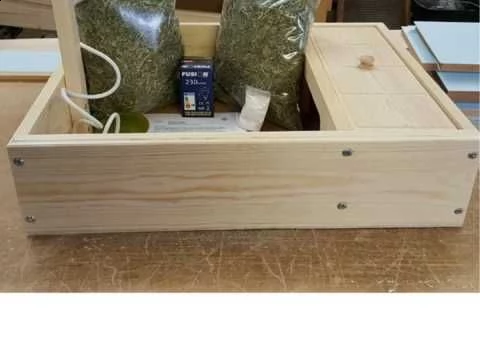 tartarughe horse_field | Foto 2