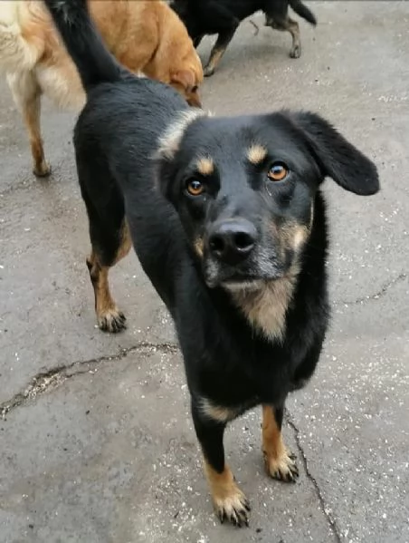 Giordie è un vero invisibile | Foto 0