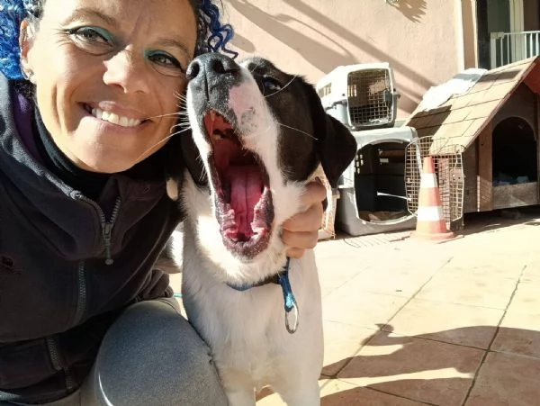 Ginojump sipatico cucciolone | Foto 1