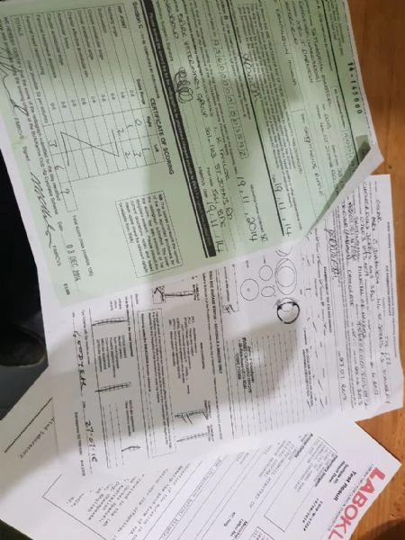 cuccioli di siberian husky maschio e femmina | Foto 0