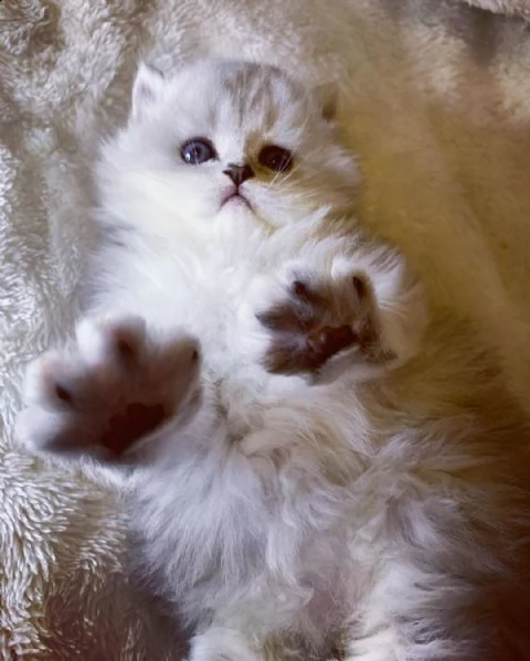 apprezzi i nostri bambini