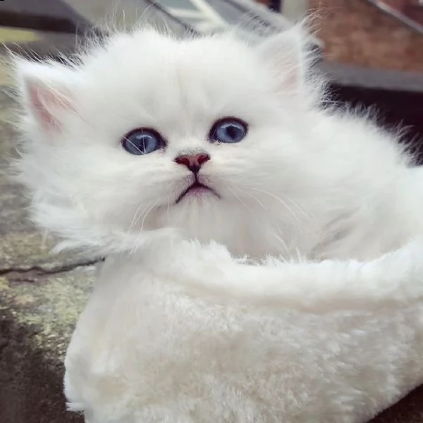 apprezzi i nostri bambini | Foto 1