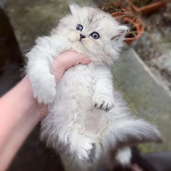 apprezzi i nostri bambini | Foto 0