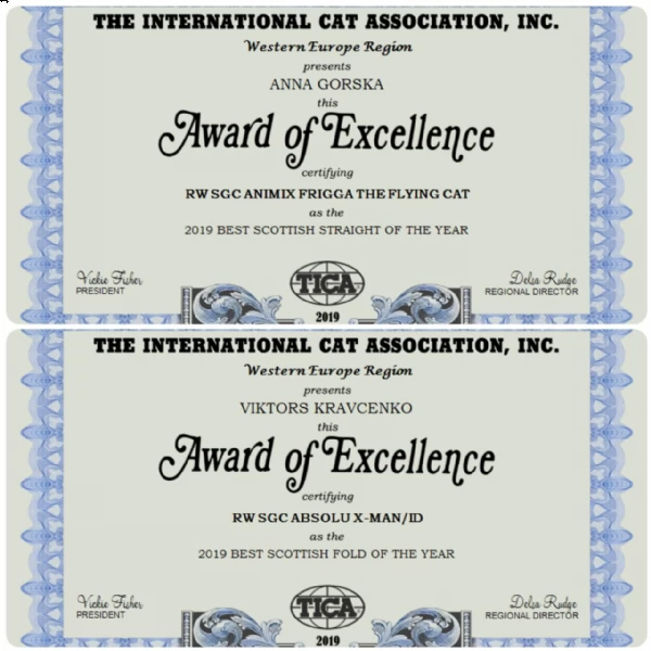 scottish fold 2 mesi | Foto 0