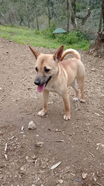 la piccola tabata | Foto 1