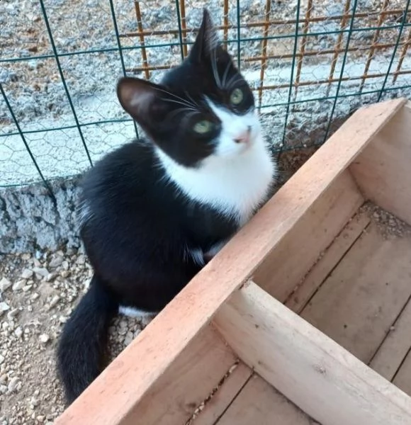 bianca e viola | Foto 0