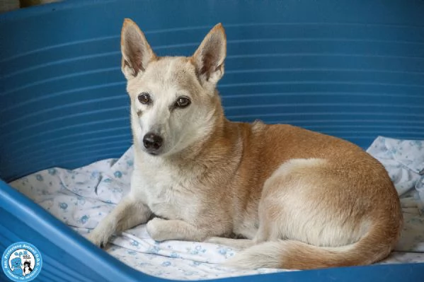 Luna ha perso il suo mondo… aiutiamola a ritrovarne uno