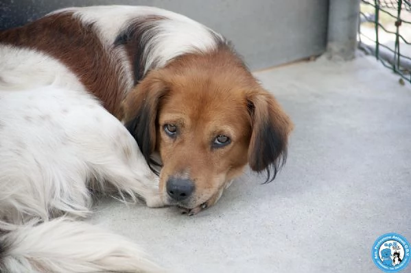 Ken, il silenzio negli occhi di chi ha perso tutto | Foto 5