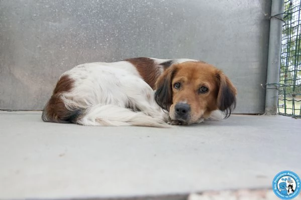 Ken, il silenzio negli occhi di chi ha perso tutto | Foto 4