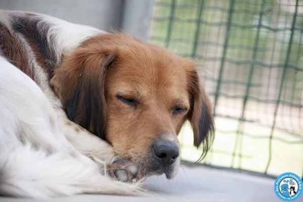 Ken, il silenzio negli occhi di chi ha perso tutto | Foto 3