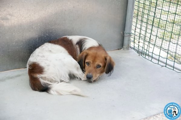 Ken, il silenzio negli occhi di chi ha perso tutto | Foto 2