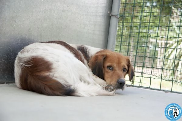 Ken, il silenzio negli occhi di chi ha perso tutto | Foto 1