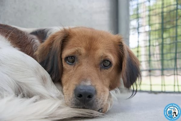Ken, il silenzio negli occhi di chi ha perso tutto | Foto 0