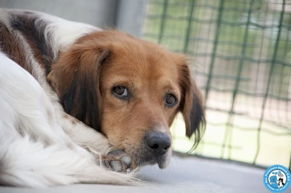 Ken, il silenzio negli occhi di chi ha perso tutto