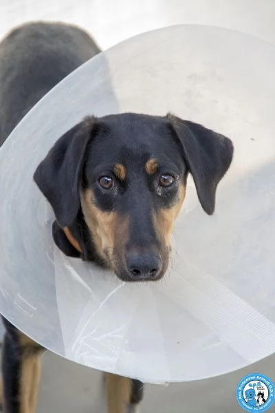 Diana, il silenzio che chiede amore | Foto 2