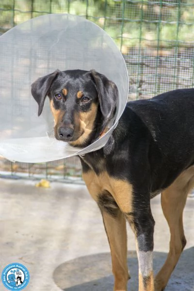 Diana, il silenzio che chiede amore | Foto 1