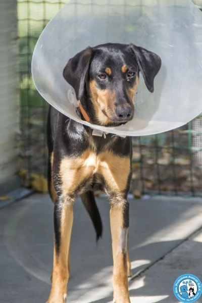 Diana, il silenzio che chiede amore | Foto 0