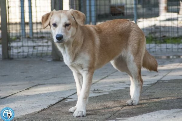 Pimpa, la timidezza che chiede tempo.. | Foto 2