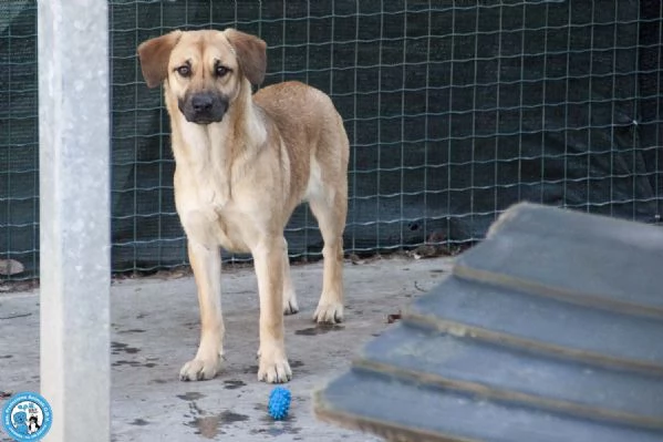 Pam, cerca chi sappia vederla davvero | Foto 4