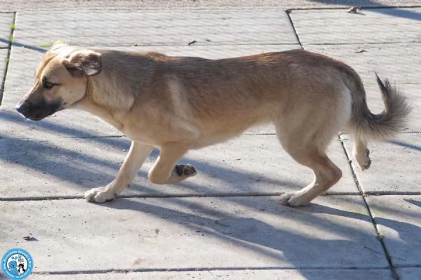 Pam, cerca chi sappia vederla davvero | Foto 3