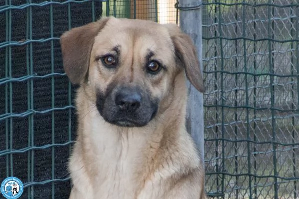 Pam, cerca chi sappia vederla davvero