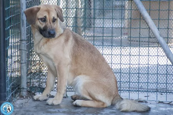 Pam, cerca chi sappia vederla davvero | Foto 2