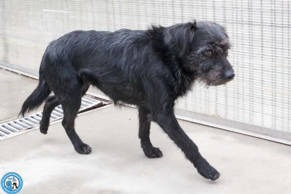 Greta, l’amore vero arriva piano.. | Foto 3