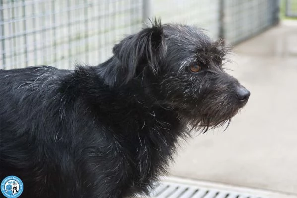 Greta, l’amore vero arriva piano.. | Foto 2