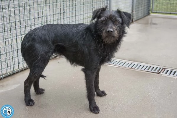 Greta, l’amore vero arriva piano.. | Foto 1