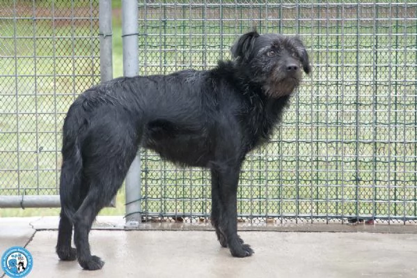 Greta, l’amore vero arriva piano.. | Foto 0