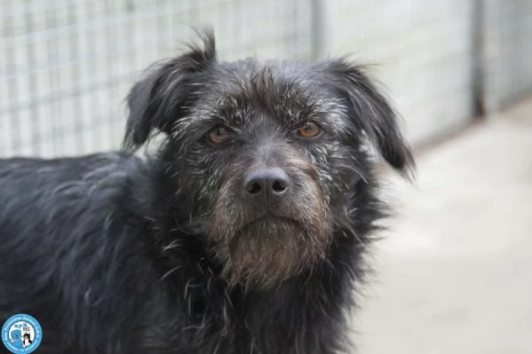 Greta, l’amore vero arriva piano..