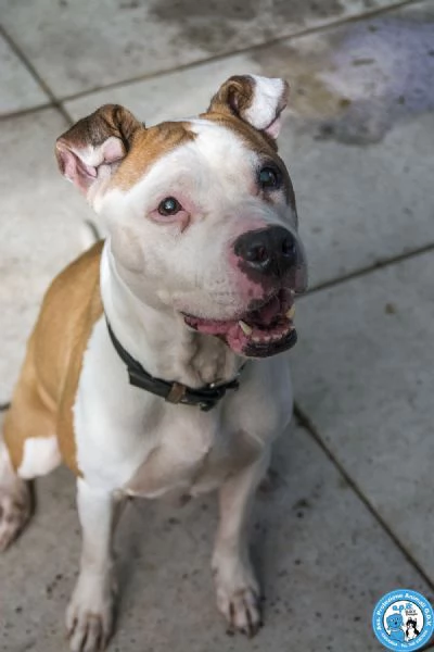 Molly, una casa per gli anni pi&ugrave; preziosi | Foto 4