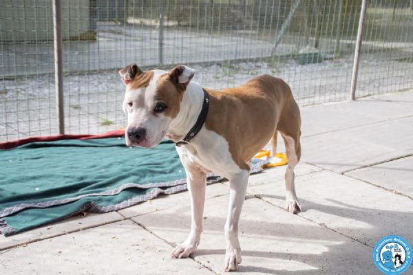 Molly, una casa per gli anni pi&ugrave; preziosi | Foto 3