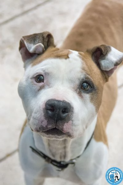 Molly, una casa per gli anni pi&ugrave; preziosi