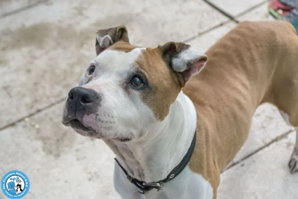 Molly, una casa per gli anni pi&ugrave; preziosi | Foto 1