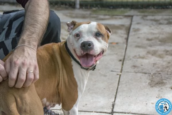 Molly, una casa per gli anni pi&ugrave; preziosi | Foto 0