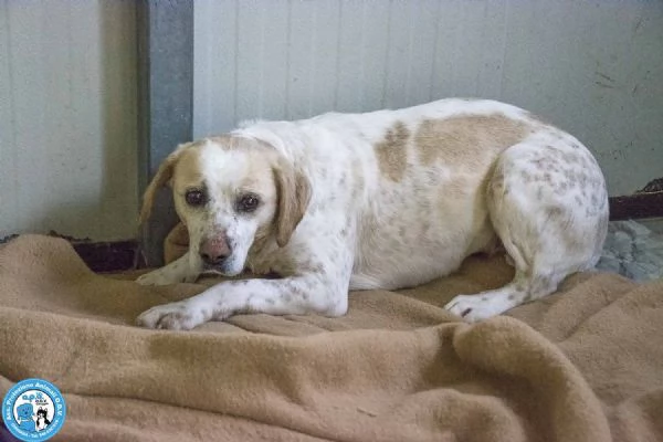 Emily, la delicatezza che chiede solo pace | Foto 1