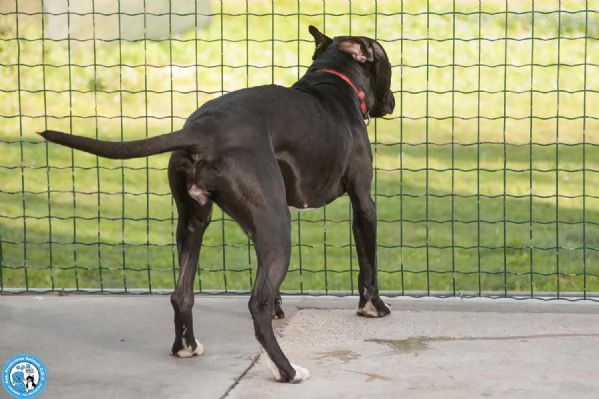 Cloe: un piccolo uragano in cerca di casa | Foto 0
