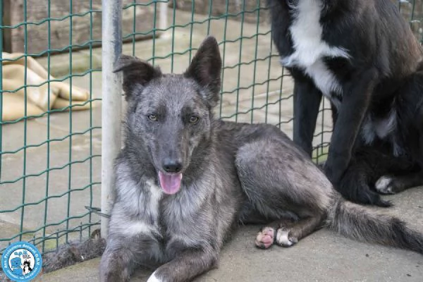 Nina, Nana e Noah: il club degli invisibili | Foto 4